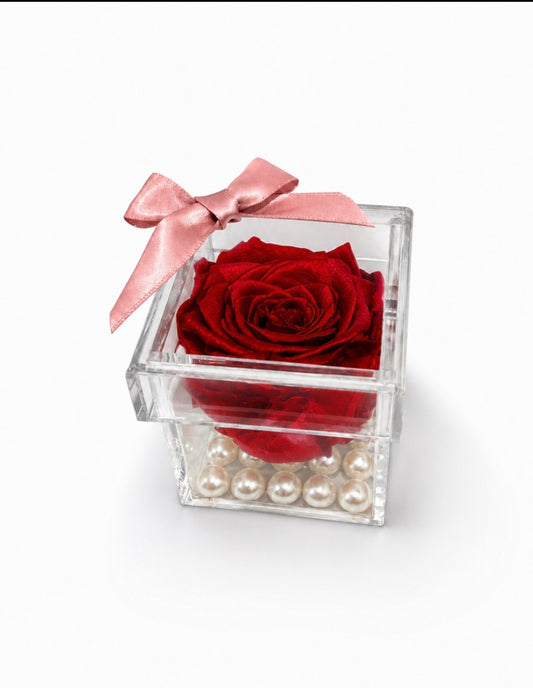 The Forever Rose