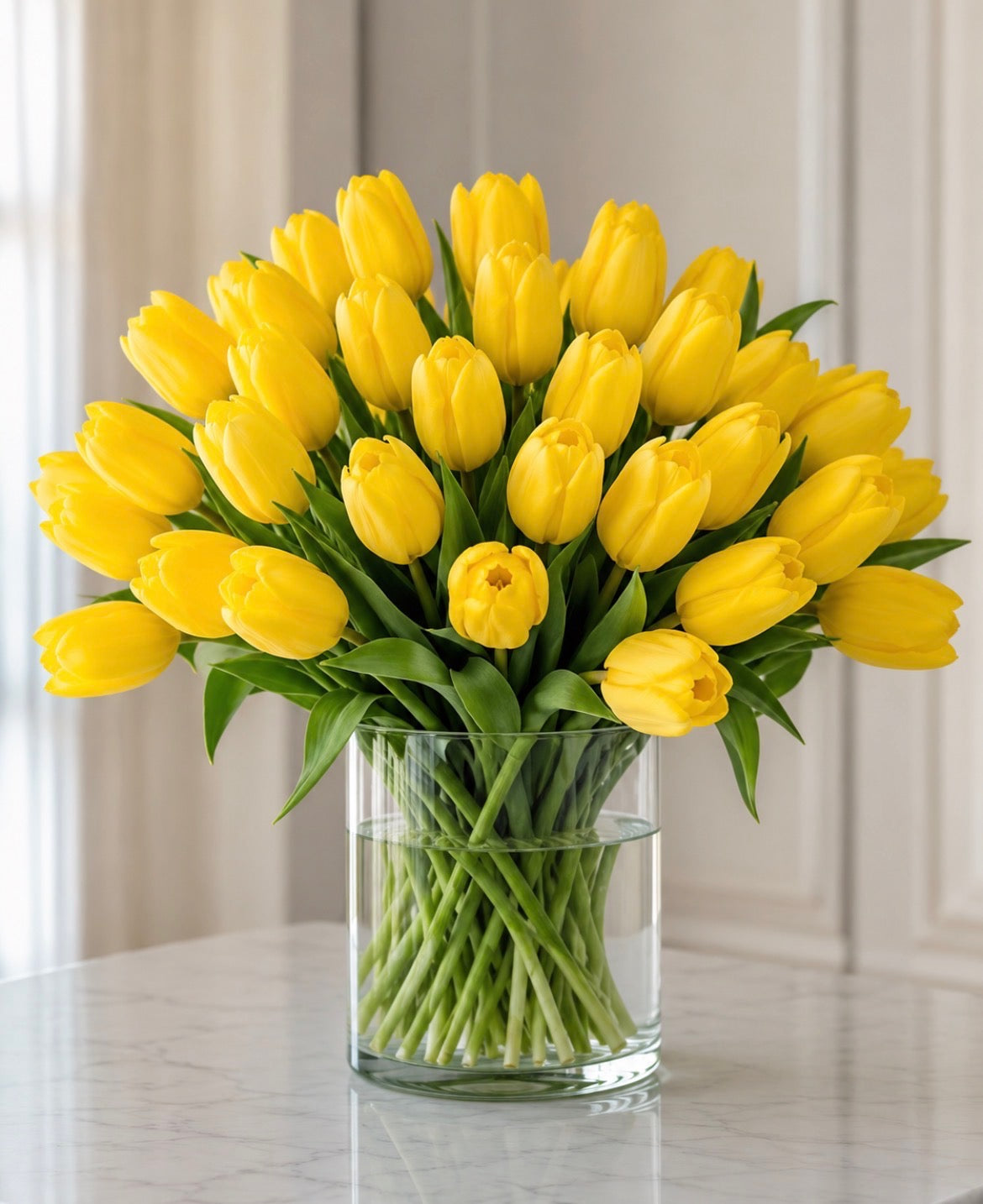 Tulips